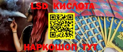 ПСИЛОЦИБИНОВЫЕ ГРИБЫ Свободный