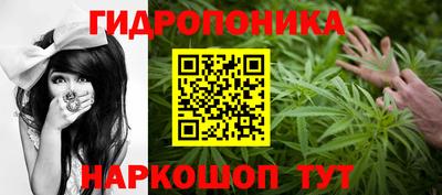 гидра Рузаевка